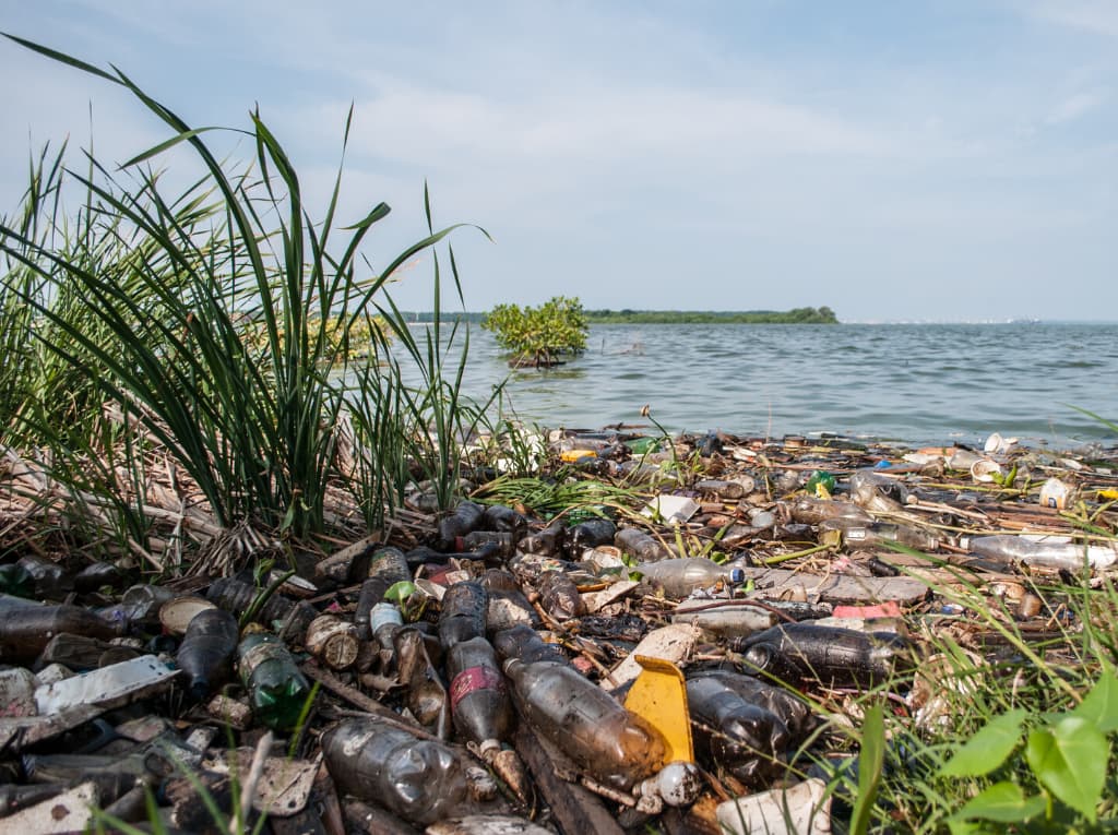 Envases biodegradables- botellas contaminando