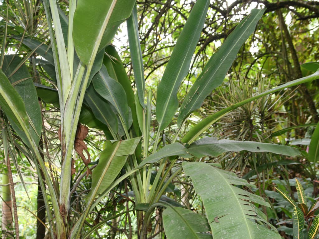 Envases reutilizables: Tu alternativa ecológica para proteger el planeta.